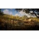 Видеоигра PlayStation 5 Ubisoft Assassin’s Creed Valhalla