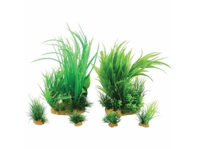 Декоративно Растение Zolux