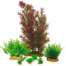 Декоративно Растение Zolux