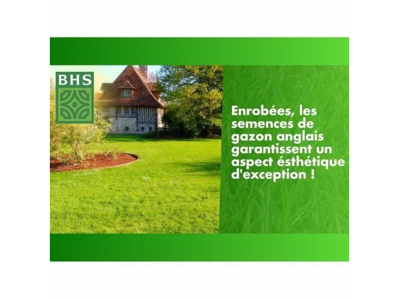 Семена BHS Gazon Anglais 10 kg