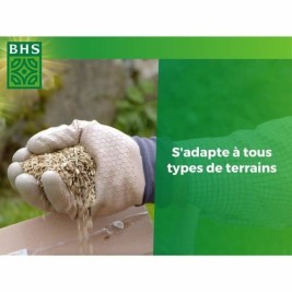 Семена BHS 3 Kg