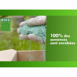 Семена BHS 10 kg