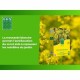 Растителен тор BHS 500 g