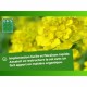 Растителен тор BHS 500 g