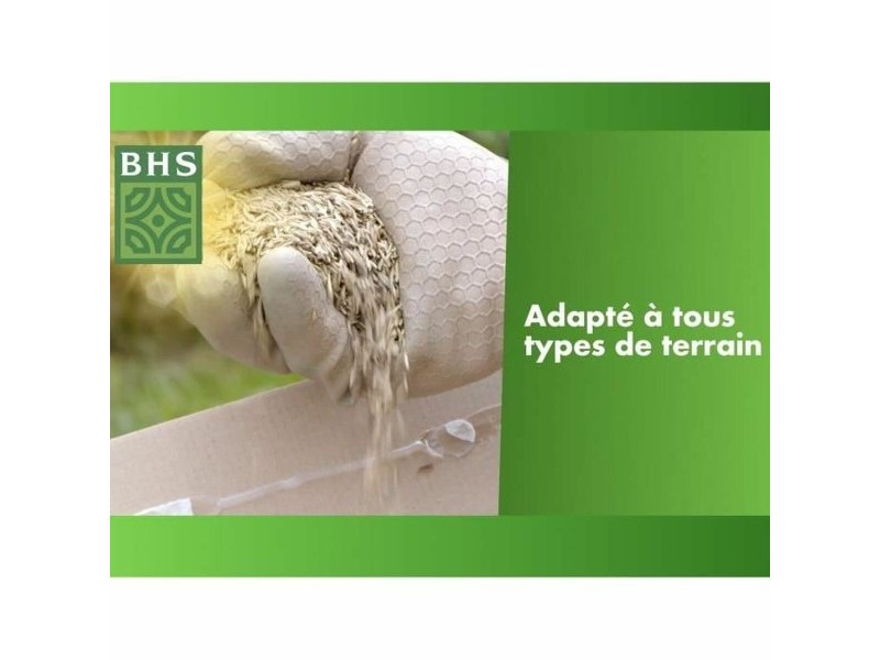 Семена BHS
