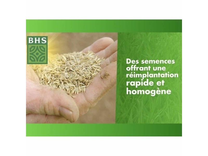 Семена BHS