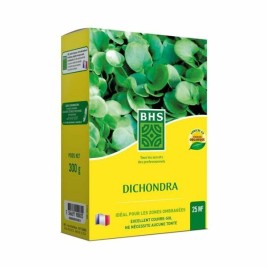 Семена BHS Dichondra