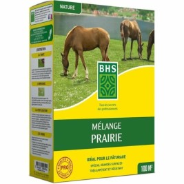 Семена BHS Mélange 500 g