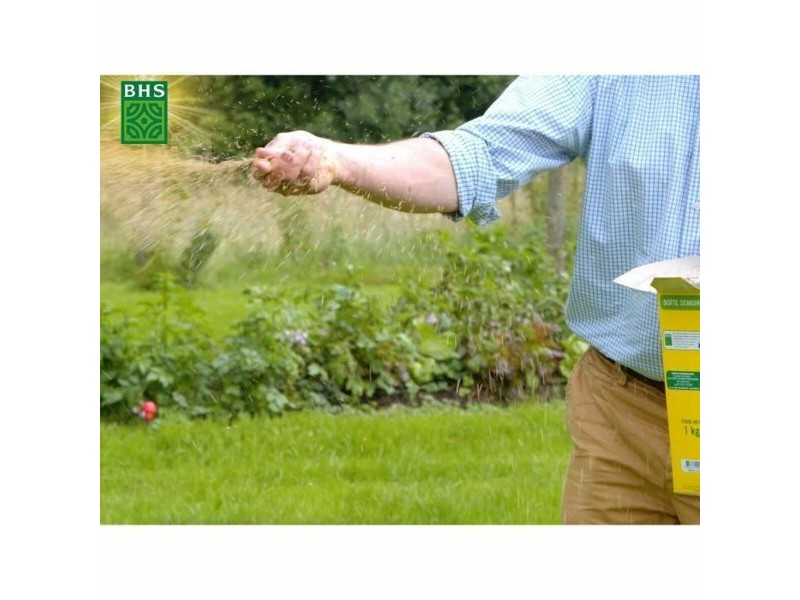 Семена BHS Mélange 500 g