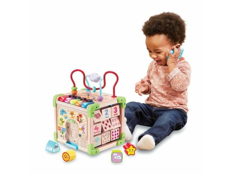 Център за дейности Vtech Baby 80-617105 Кафяв Многоцветен