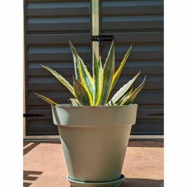 Саксия Riviera Зелен Ø 50 cm