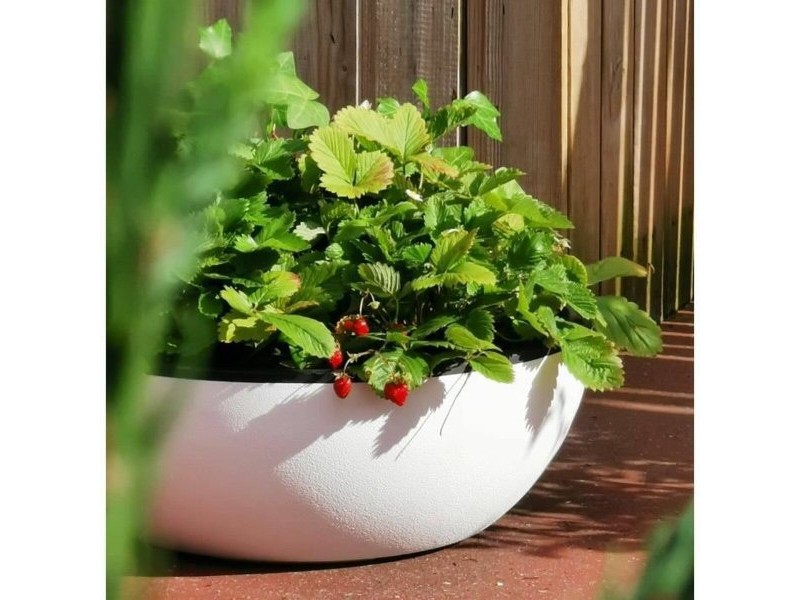 Саксия Riviera   Бял Ø 40 cm