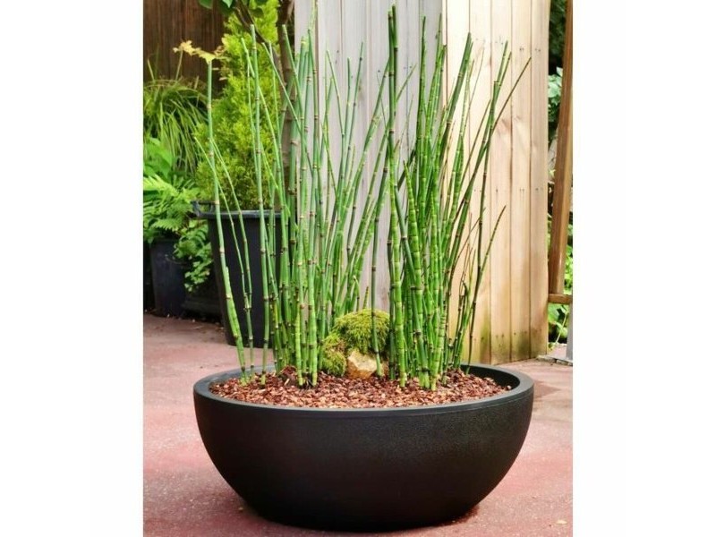 Саксия Riviera RIVIERA Черен Ø 40 cm