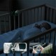 Бейбифон Babymoov