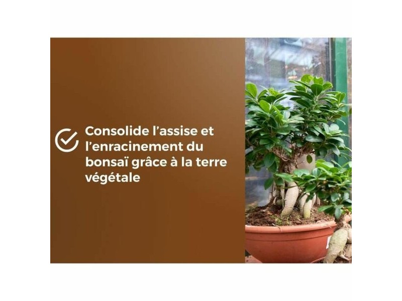 Почва за саксии OR BRUN BROWN GOLD 6 L