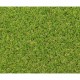 Изкуствена трева Exelgreen Campus 2D 1 x 5 m 25 mm Изкуствена трева Exelgreen Campus 2D 1 x 5 m 25 mm