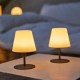 Настолна лампа с LED Lumisky Сив