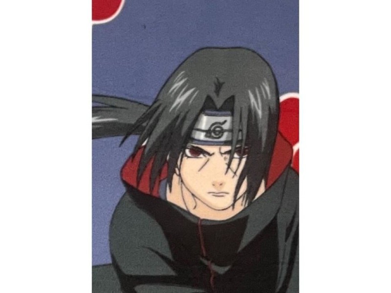 Одеяло Naruto Черен Животни