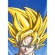 Одеяло Dragon Ball Многоцветен Животни