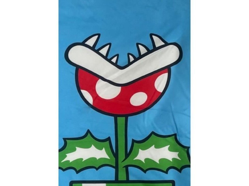 Одеяло Mario Bros 31 x 8 x 31 cm Многоцветен Шотландски картини