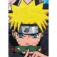 Одеяло Naruto Многоцветен Животни