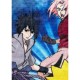 Одеяло Naruto Многоцветен Животни