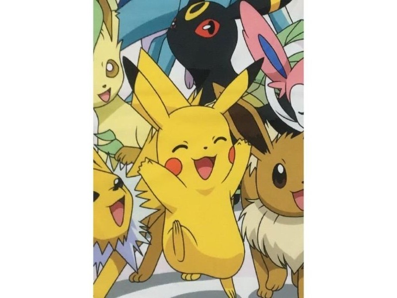 Одеяло Pokémon 26 x 14 x 26 cm Многоцветен Животни