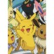 Одеяло Pokémon 26 x 14 x 26 cm Многоцветен Животни