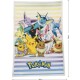 Одеяло Pokémon 26 x 14 x 26 cm Многоцветен Животни