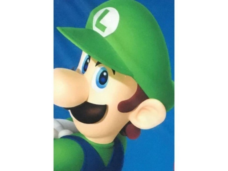 Одеяло Mario Bros 25 x 14 x 26 cm Черен Животни