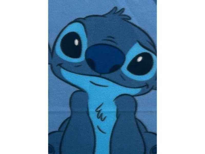 Одеяло Stitch 25 x 11 x 13 cm Син Шотландски картини