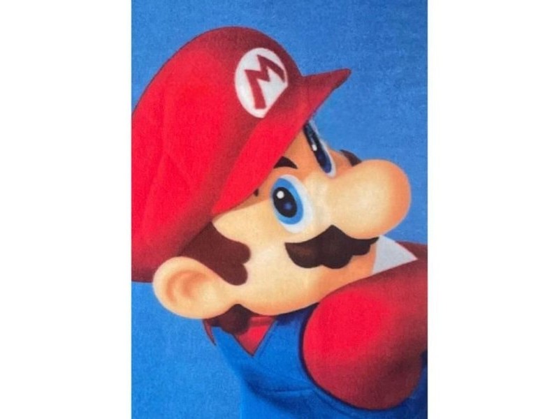 Одеяло Mario Bros 25 x 7 x 13 cm Многоцветен Животни
