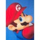 Одеяло Mario Bros 25 x 7 x 13 cm Многоцветен Животни