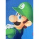Одеяло Mario Bros 25 x 7 x 13 cm Многоцветен Животни