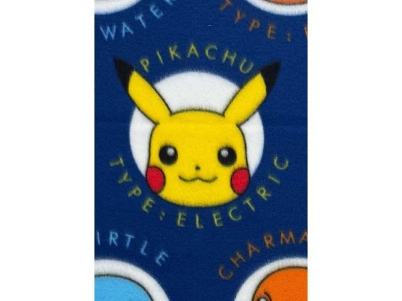 Одеяло Pokémon 25 x 7 x 13 cm Многоцветен Животни