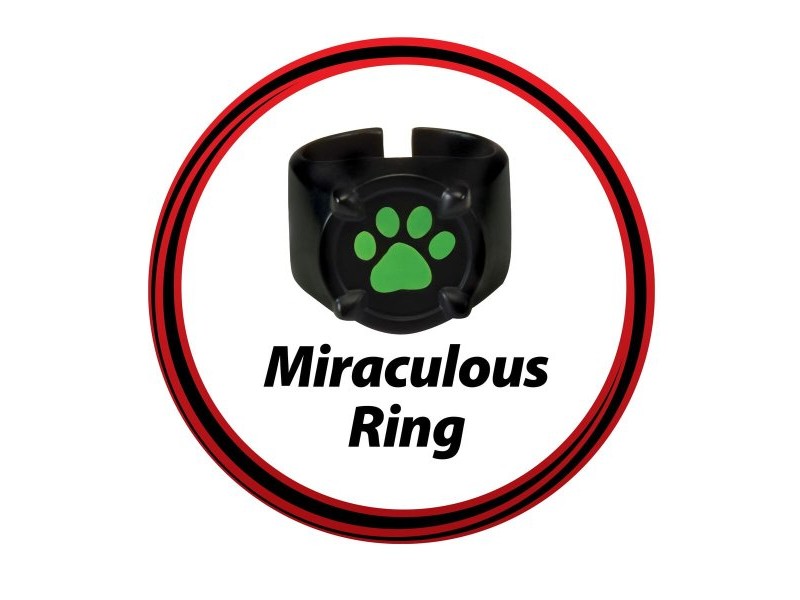 Маскировъчен костюм за деца Miraculous: Tales of Ladybug & Cat Noir Transformation Set - Cat Noir 4 Части Черен Многоцветен