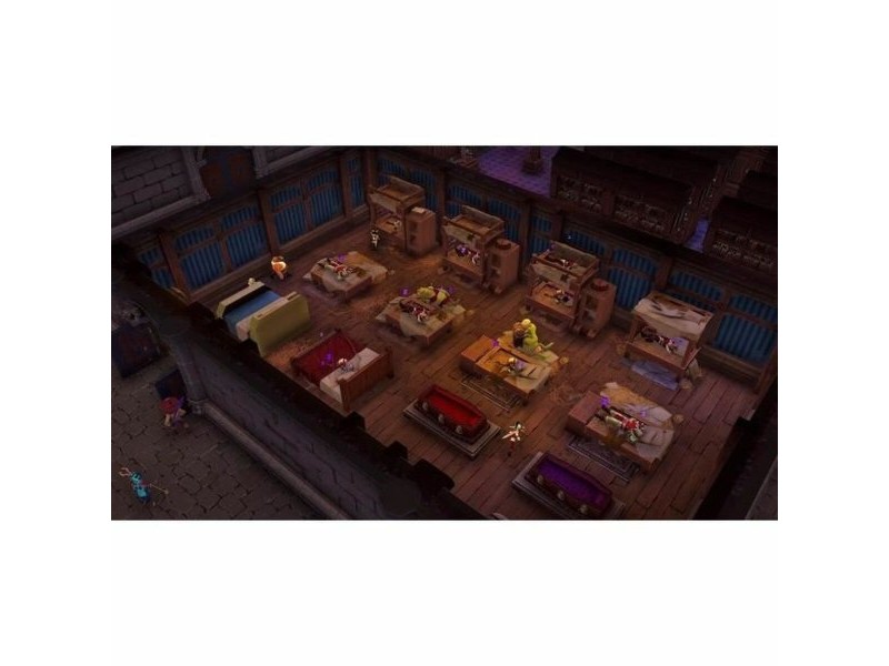 Видео игра за Switch Microids The Dungeon Master of Naheulbeuk