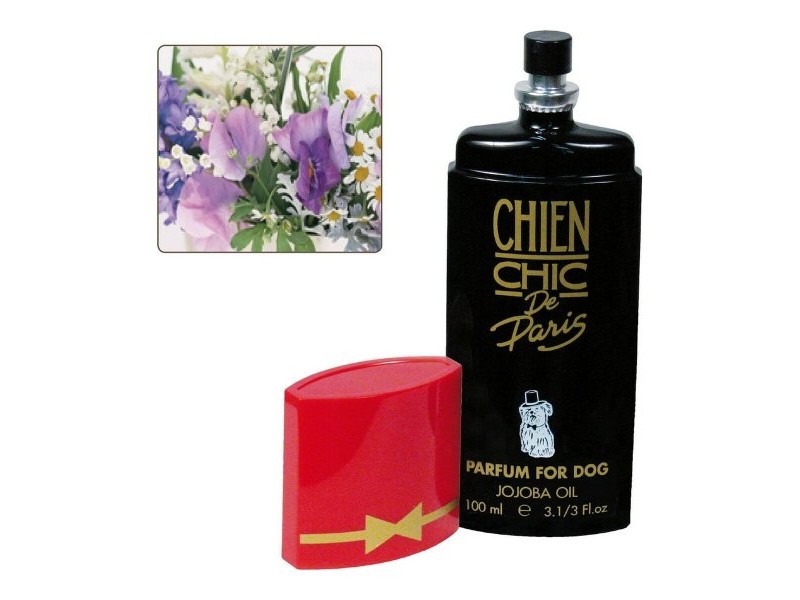 Парфюм за домашни любимци Chien Chic Цветен Куче (100 ml) Парфюм за домашни любимци Chien Chic Цветен Куче (100 ml)