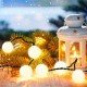 Гирлянда от LED Светлини Lumi Garden BILLY SPHERICAL 60 LEDS Черен noir 1 W