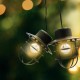 Гирлянда от LED Светлини Lumisky Detroit Бял Черен Цветен
