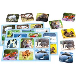Настолна игра Schmidt Spiele Zoo Lotto Животни