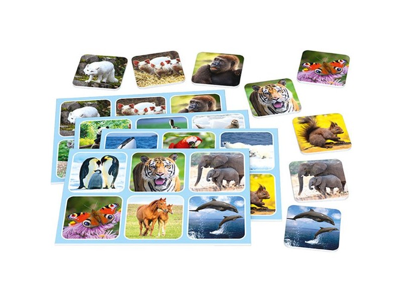 Настолна игра Schmidt Spiele Zoo Lotto Животни