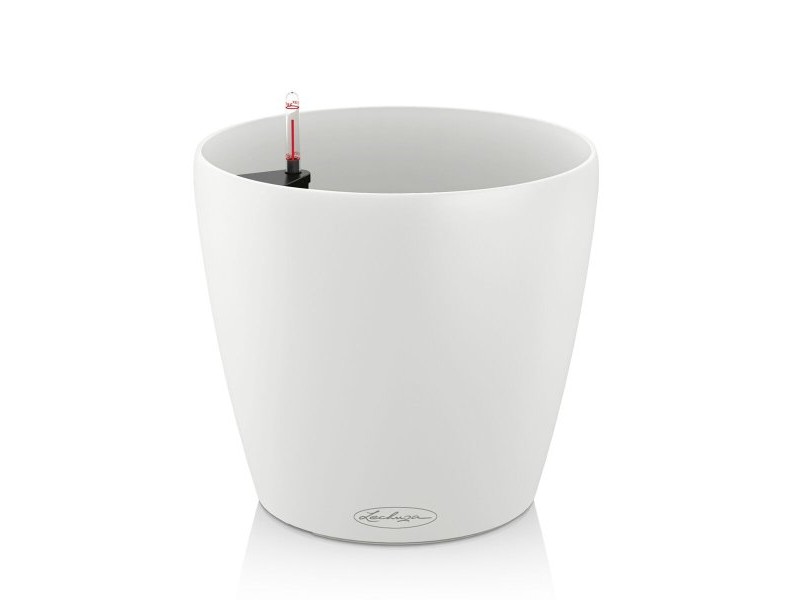 Саксия Lechuza