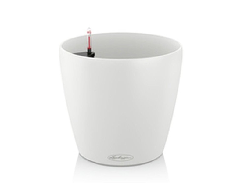 Саксия Lechuza