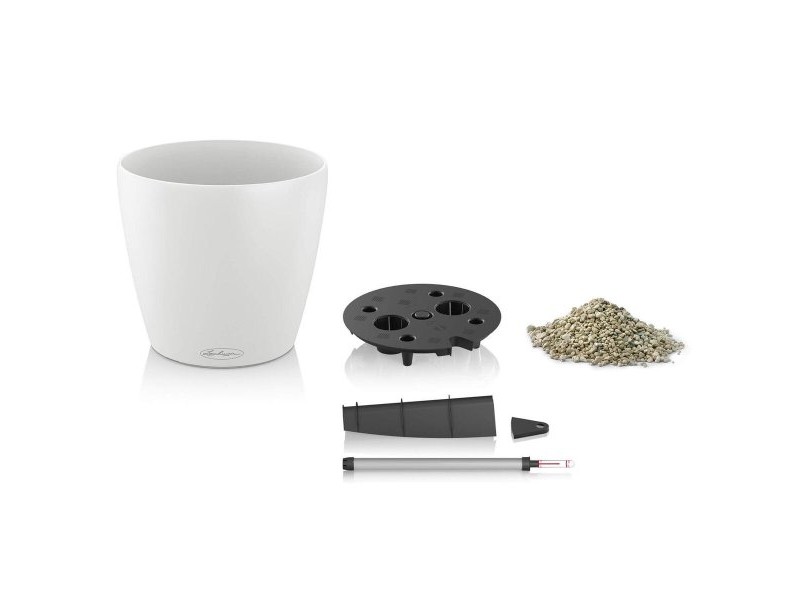 Саксия Lechuza