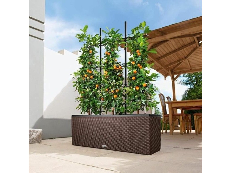 Саксия Lechuza 100 x 32 x 34 cm Пластмаса Квадратен