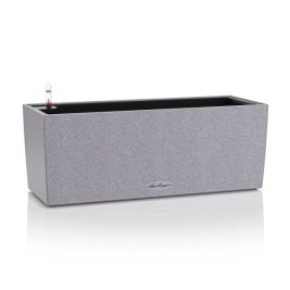 Самополиваща Сеялка Lechuza Сив 50 x 19 x 19 cm полипропилен Квадратен