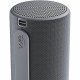 Преносима колона Loewe We. HEAR 2 Сив 15 W 60 W Преносима колона Loewe We. HEAR 2 Сив 15 W 60 W