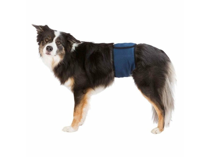 Протектор за Инконтиненция Trixie 55-65 cm Мъжки Корем