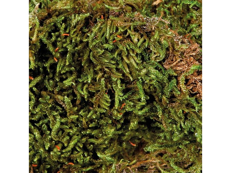 Субстрат Trixie 200 gr Мъх